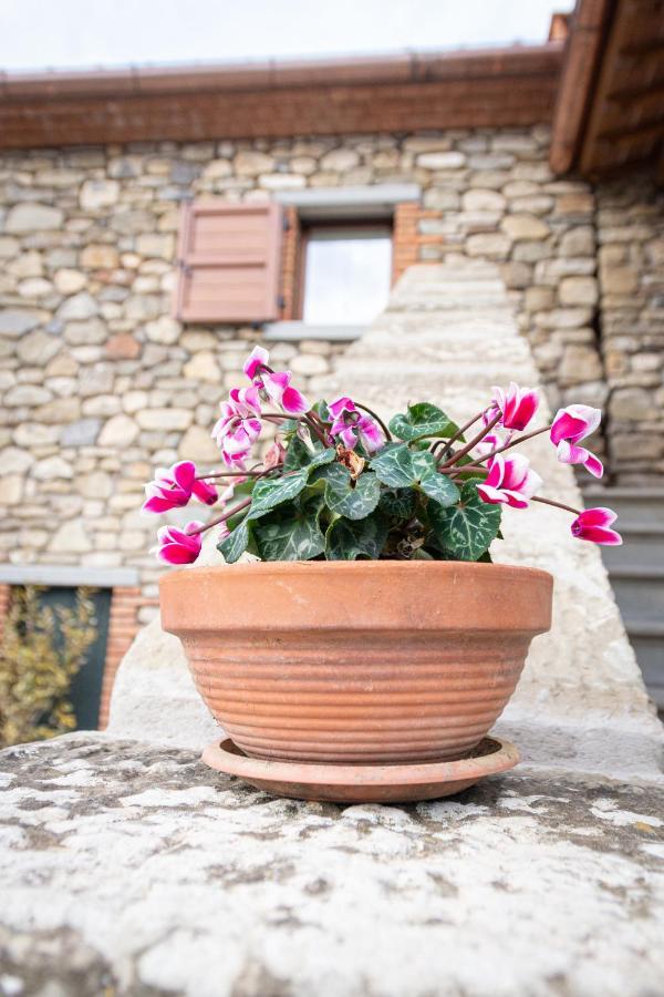 B&B Casa Del Pietro Pieve San Giovanni Экстерьер фото